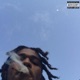 yourHoeCallMeRoRo Single