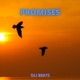 Promises Boom Bap Beat Single