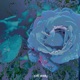 Last Forever Single