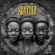 Sankofa Single
