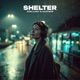 Shelter Single