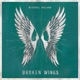 Broken Wings Single
