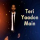 Teri Yaadon Main Single