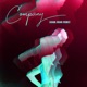 Company Adam Johan Remix Single