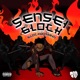 Sensei Glock