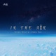 In The Air feat Limmy Boe Single