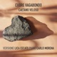 Cuore Vagabondo Single