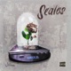 Scales Single