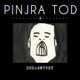 Pinjra Tod feat Anyvox Single