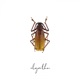 Algorithm Single