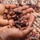 Cacao Single