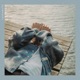 Vastamelu Single