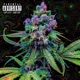 High von Musik Single
