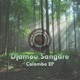 Colombo Single