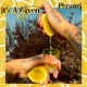 It s a Given Single