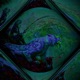Deep in the Jungle Single