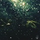 For the Rainy Days Single