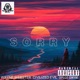 SORRY CIVILIZED EVIL Remix Single
