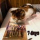 7DAYS feat real3 kthirteen Single