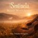 Nosso Novo Amor Single