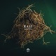 Raiz EP