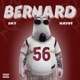 Bernard feat Ali Kayot Single