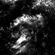 Piano s Nightmare Single