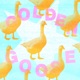 Golden Goose Single