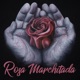 Rosa Marchitada feat Boza Single