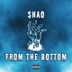 From the Bottom Single