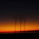 transience Single