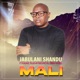 Mali feat Khumz Plan B Fakumoya Sibah Musiq Single