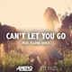 Can t Let You Go ft Ellena Soule Single