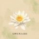 Love Is A Lily Single