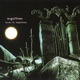 Nighttime feat Tippletine Single