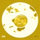 Lotto Single