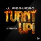Turnt up feat Trina Single