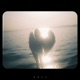 Sleepless Nights Restless Dreams Single