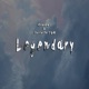 Legendary Single