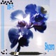 09 Single