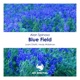 Blue Field Single
