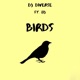Birds feat Lij Single