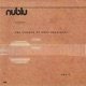 Nublu Presents Temple of Soul Sessions Vol 1