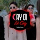 Cay Ơi Là Cay SinKra Remix Single