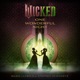 Wicked One Wonderful Night Live The Soundtrack