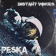Distant Voices Single