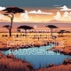 Living for the Sunset Single