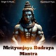 Mrityunjaya Rudraya Mantra Single