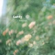 Candy Single