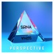 Perspective Single